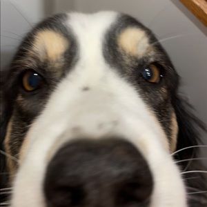 Meet your Posher, Cate